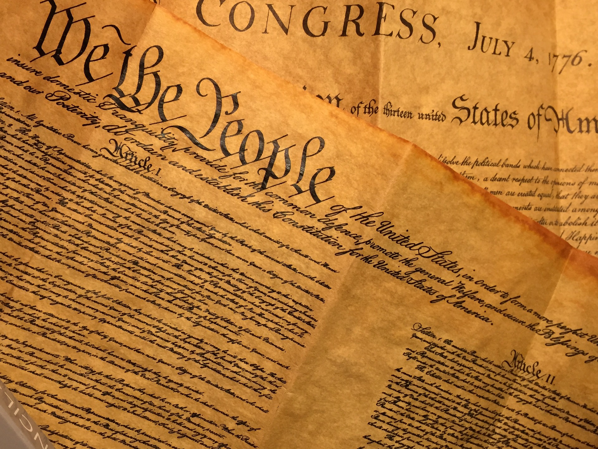Constitution REQUIRES That Congress, SCOTUS, & Trump ‘Stop…