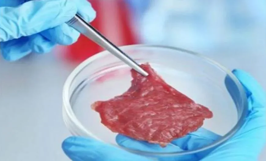 Global food-processing giant announces world’s largest lab-grown meat…
