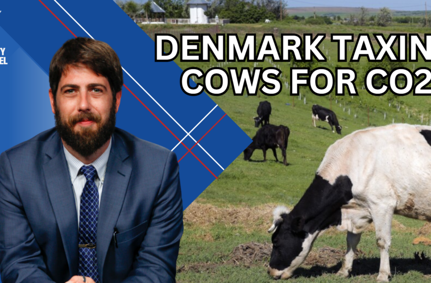 Solutions for Pollution and Denmark’s Shocking Carbon Tax
